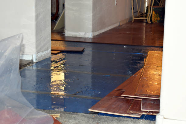 Professional Basement Flood Cleanup technician working in Mount Sinai, NY